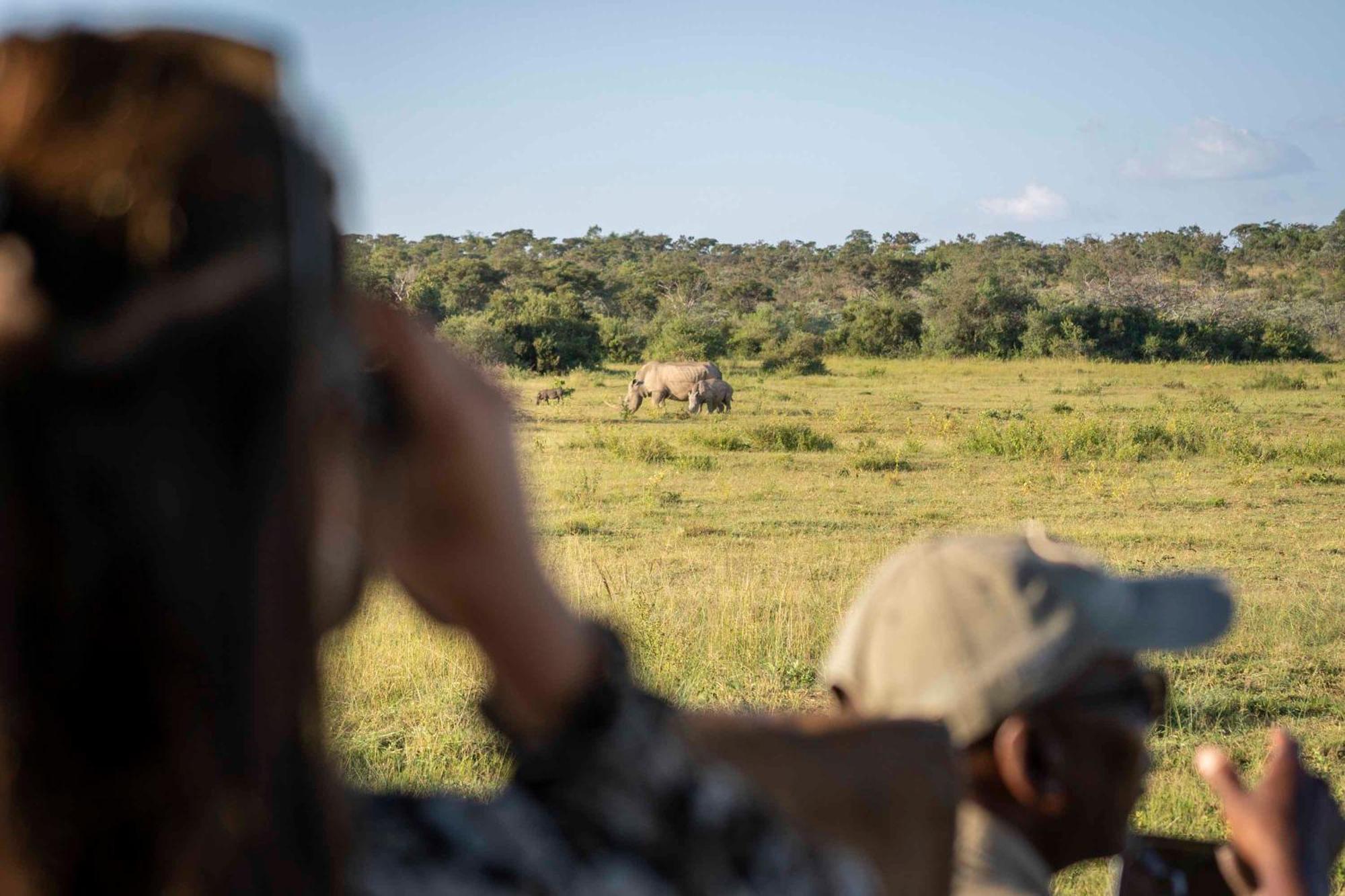 Tshwene Lodge فالووتر المظهر الخارجي الصورة
