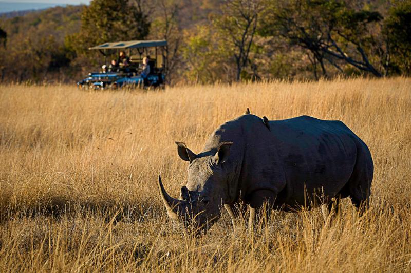 Tshwene Lodge فالووتر المظهر الخارجي الصورة