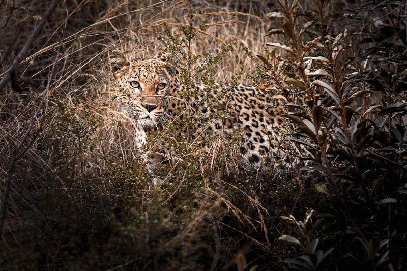 Tshwene Lodge فالووتر المظهر الخارجي الصورة