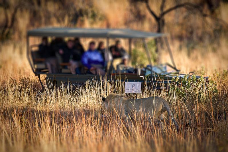 Tshwene Lodge فالووتر المظهر الخارجي الصورة